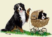 Bouvier_Bernois_Bernese_Mountain_Dog