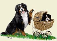 Bouvier Bernois femelle et chiot - Bernese Mountain Dog female and puppy