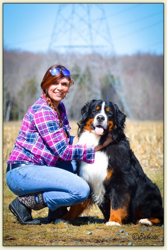 Bouvier Bernois - Bernese Mountain Dog