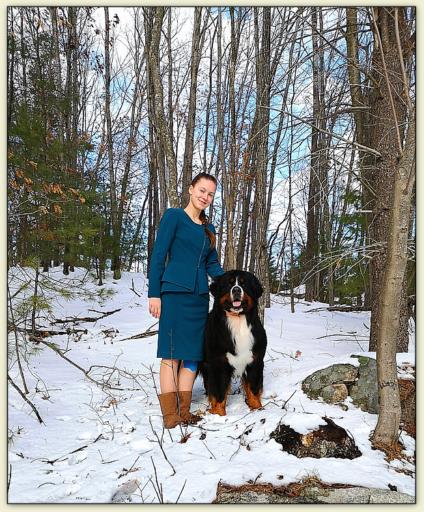 Bouvier Bernois - Bernese Mountain Dog